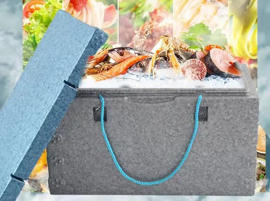 Fish Box EPP EPS Forma 6063 Stop aluminium do owoców morza i świeżych owoców